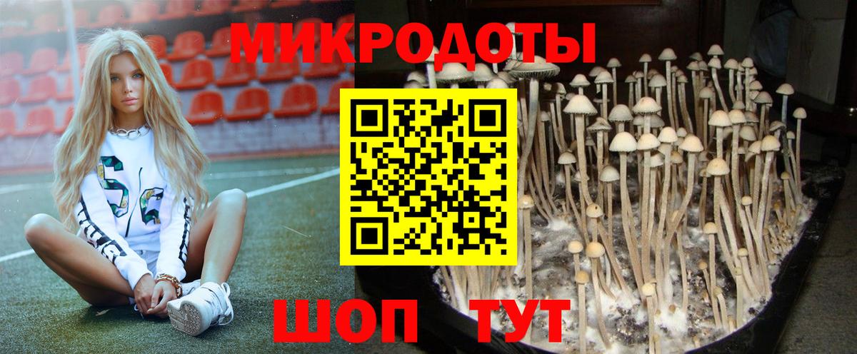 Псилоцибиновые грибы GOLDEN TEACHER  Вход с VPN  Галлюциногенные грибы Psilocybine cubensis  Биробиджан 