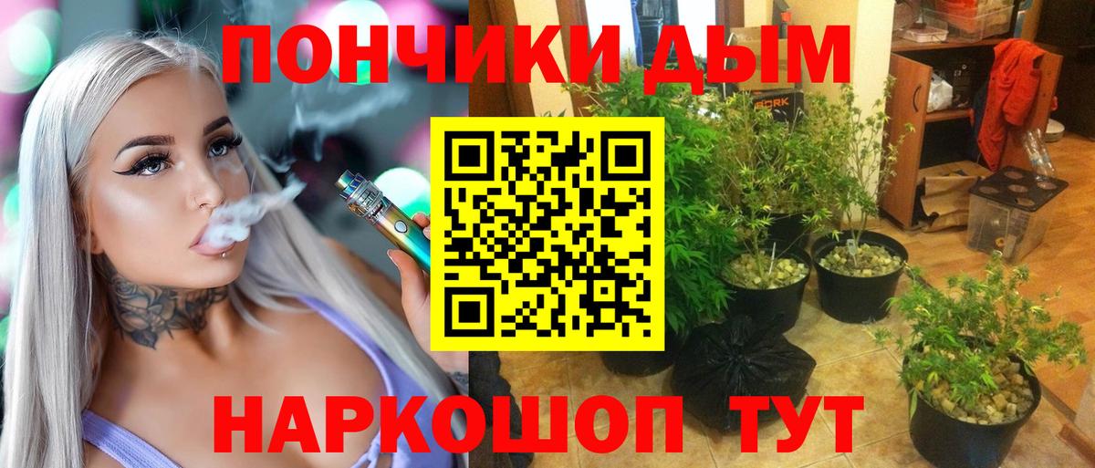 Шишки марихуана White Widow Биробиджан